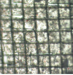 Dicing and slicing of tissue sections